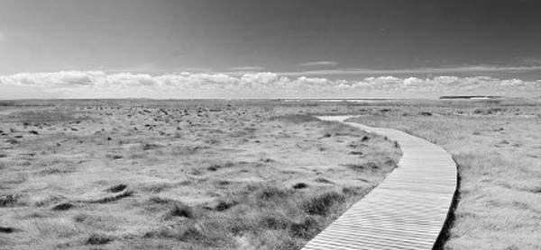 paisaje en blanco y negro con un camino que serpentea